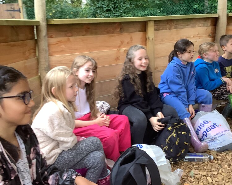 Image of Class 3's Outdoor Learning Day