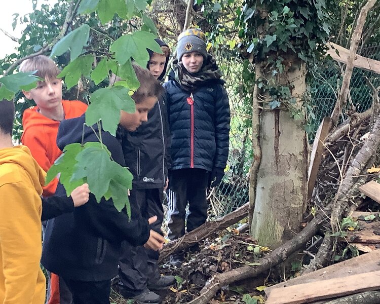 Image of Class 4's Outdoor Learning Day