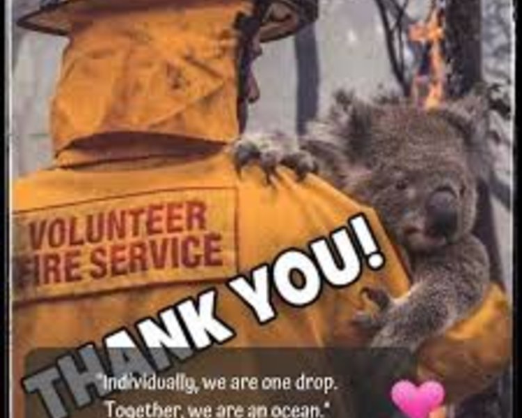 Image of Australian Fire Relief Fundraiser - Colouring Competition